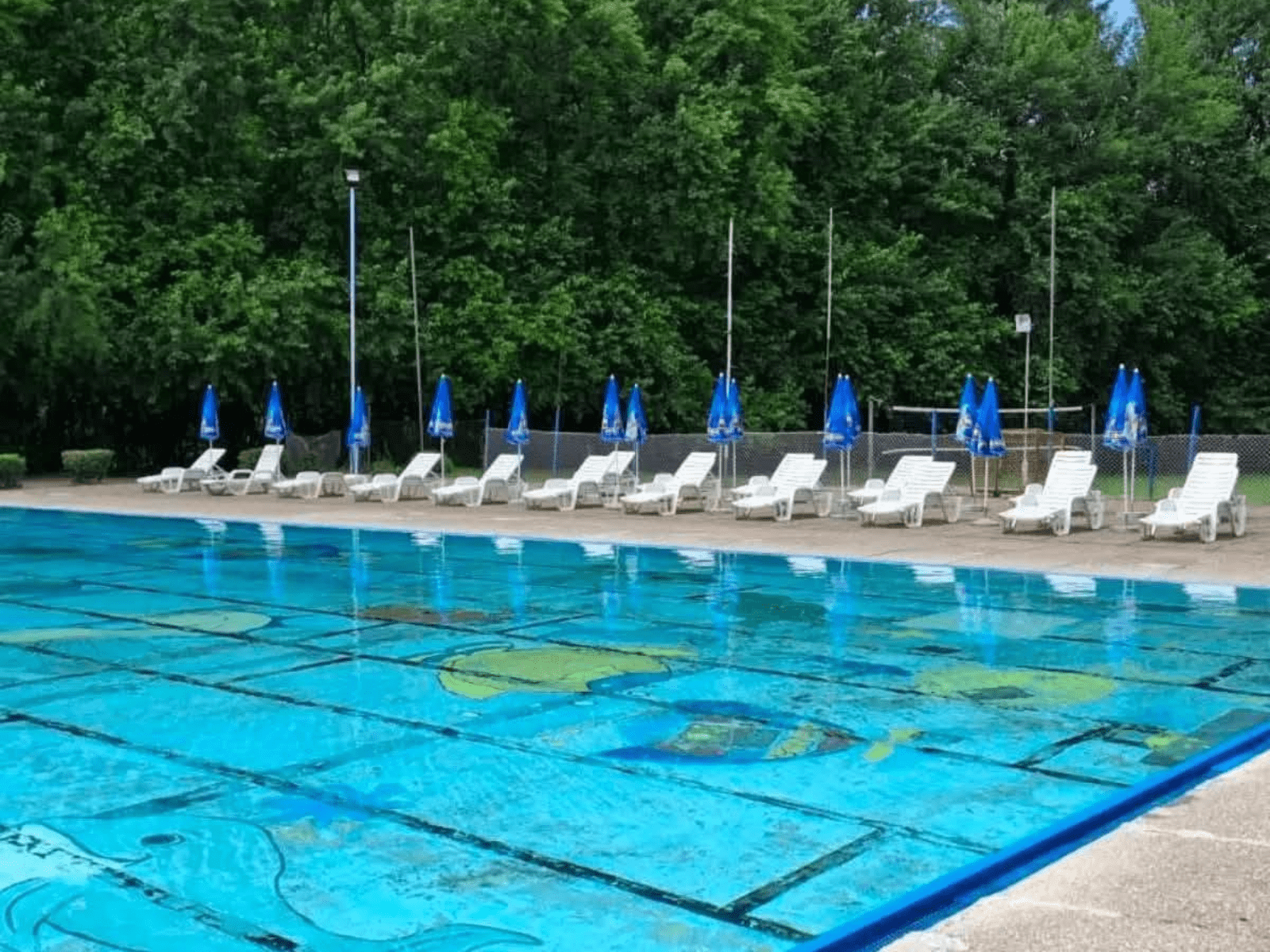 Počinje sa radom bazen! Ležaljke i suncobrani besplatni