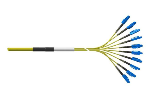 Predetermined breakout cable
