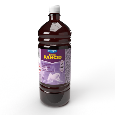 Pancid Turbo - 3